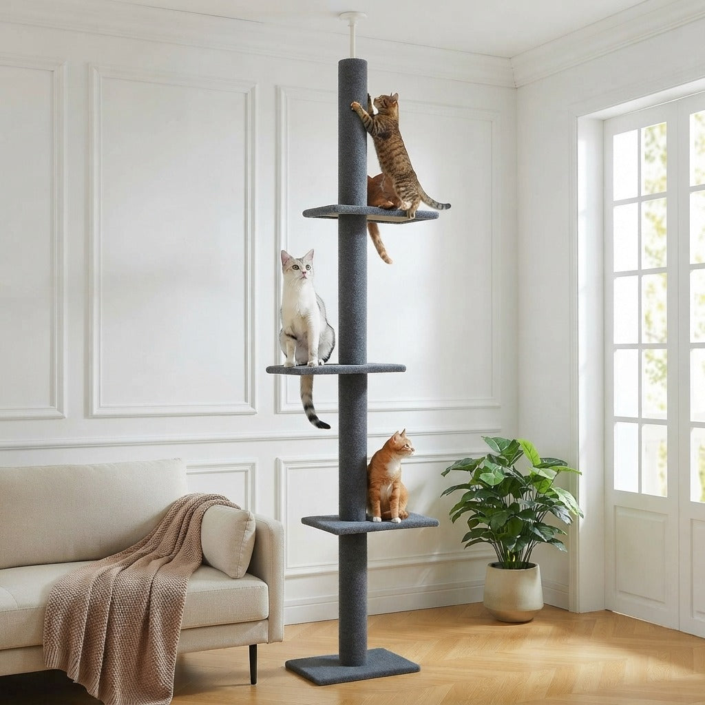 Arbre à Chat Sol-Plafond 228–273 cm en situation dans un intérieur