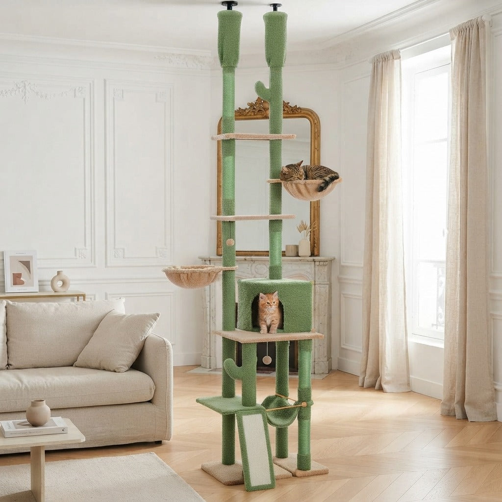 Arbre à Chat Cactus Sol-Plafond 216–285 cm dans un salon, avec un chat
