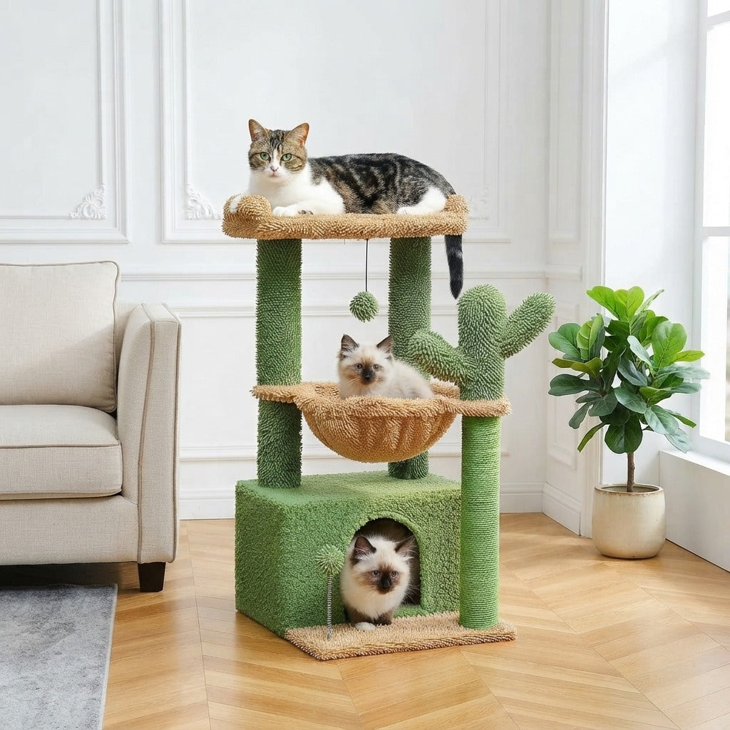 Petit Arbre à Chat Cactus 80 cm pour Chaton dans un salon, avec un chat